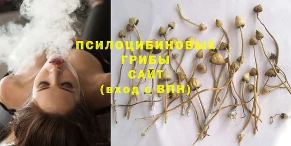 гашик Волоколамск