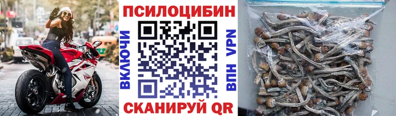 Купить закладки  Биробиджан  Галлюциногенные грибы Psilocybine cubensis 